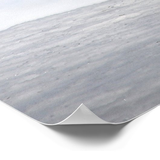 Poster Red Fox in Winter Snow (Coin)