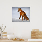 Poster Red Fox in Winter Snow (Cuisine)