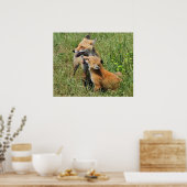 Poster Red Fox Mama et kit (Cuisine)