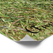 Poster Red Fox Mama et kit (Coin)