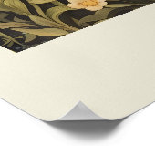 Poster Red Fox Nom scientifique Faune (Coin)