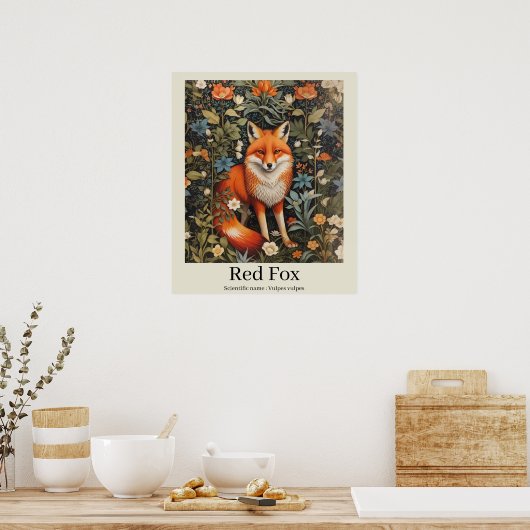 Poster Red Fox Nom scientifique Faune (Cuisine)