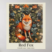 Poster Red Fox Nom scientifique Faune (Devant)