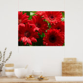 Poster Red Gerber Daisies 2012 5a (Cuisine)