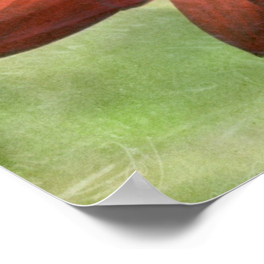 Poster Red Gerbera (Coin)