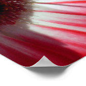 Poster Red Gerberas, S Cyr (Coin)