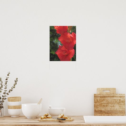 Poster Red Gladiolas (Cuisine)