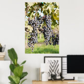 Poster Red Grapes (Bureau à domicile)