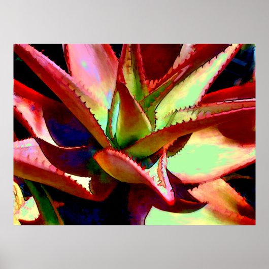 Poster Red & Green Agave (Devant)