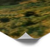 Poster Red Heart Sunny Good Morning (Coin)