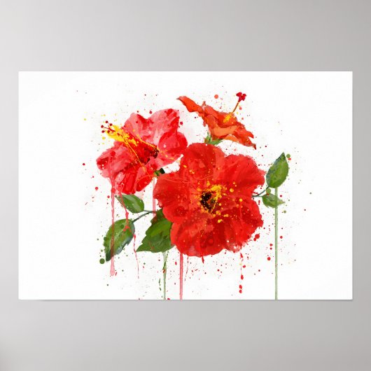 Poster Red Hibiscus (Devant)