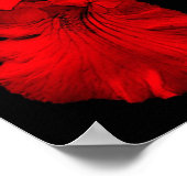 Poster Red Hot (Coin)