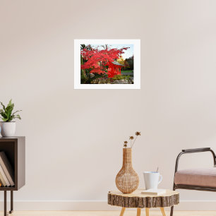 Poster Red Japanese Maple and Garden Shirt Photo
