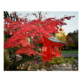 Poster Red Japanese Maple and Garden Shirt Photo (Devant)