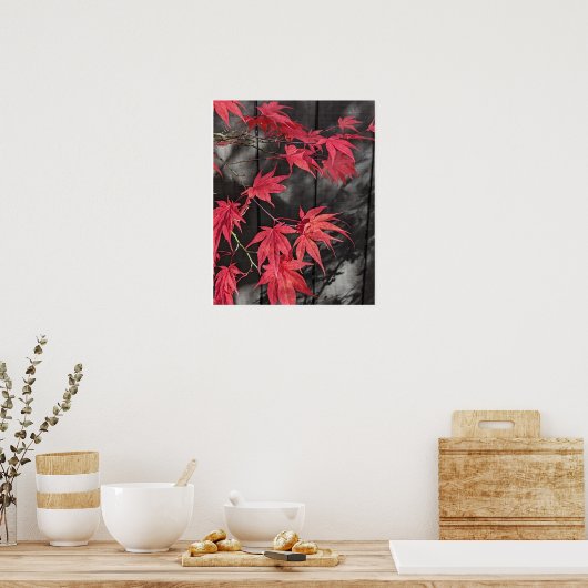 Poster Red Japanese Maple Leaf Shadows (Cuisine)