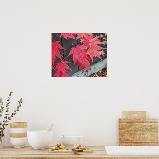 Poster Red Japanese Maple Leaves Botancial (Cuisine)