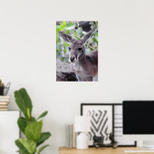 Poster Red Kangaroo (Bureau à domicile)