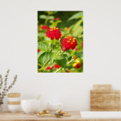 Poster RED LANTANA (Cuisine)