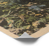 Poster Red Lodge, MT - Vue sur le lac Beartooth & Butte (Coin)