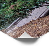 Poster Red Maple Leaves in a Japanese Garden (Coin)