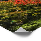 Poster Red Maples au Jardin Japonais (Coin)