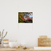 Poster Red Maples au Jardin Japonais (Cuisine)