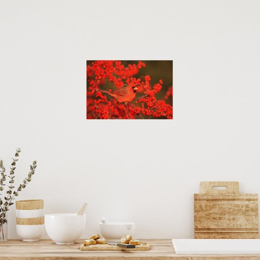 Poster Red Northern Cardinal (Cuisine)