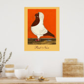 Poster Red Nun Pigeon (Cuisine)