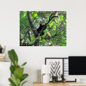 Poster Red Panda (Bureau à domicile)