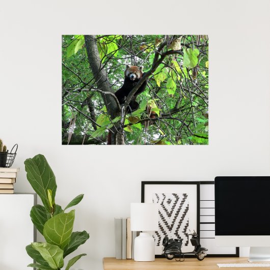 Poster Red Panda (Bureau à domicile)