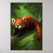Poster Red Panda (Devant)