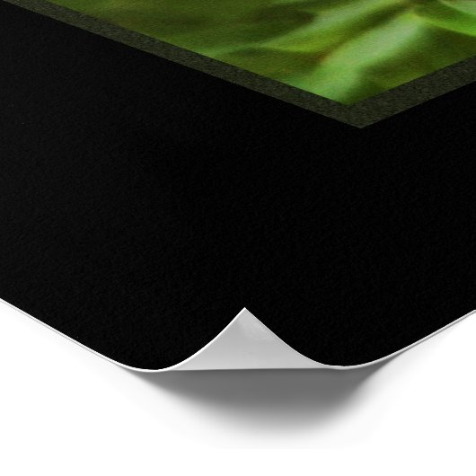 Poster Red Panda imprimé (Coin)