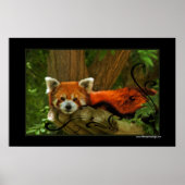 Poster Red Panda imprimé (Devant)