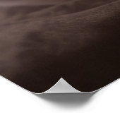 Poster Red Panda Wild Animal Portrait Nature Beauté (Coin)