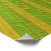 Poster Red Parrot (Coin)