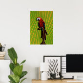 Poster Red Parrot (Bureau à domicile)