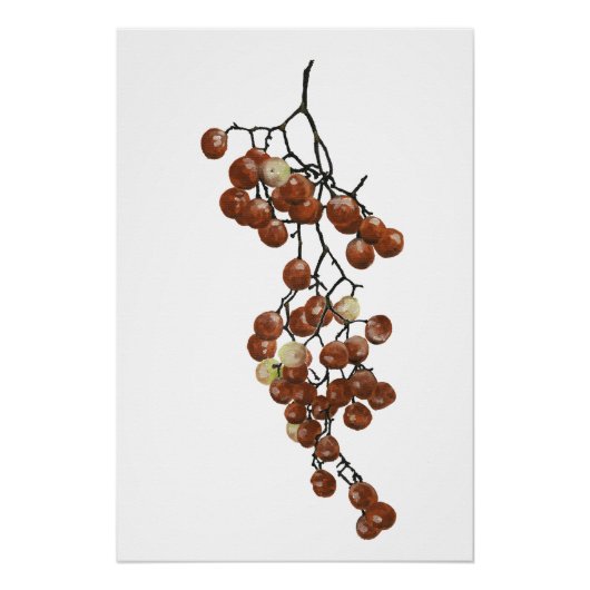 Poster Red Peppercorns - Botanical Study 3 (Devant)