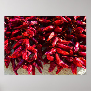 Poster Red peppers drying in the sun Hungary
