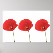 Poster Red Poppies Imprimer (Devant)