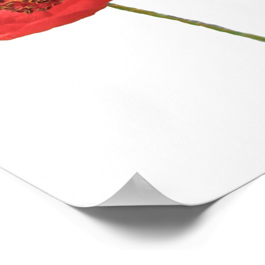 Poster Red Poppies Imprimer (Coin)