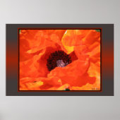 Poster Red Poppy (Devant)