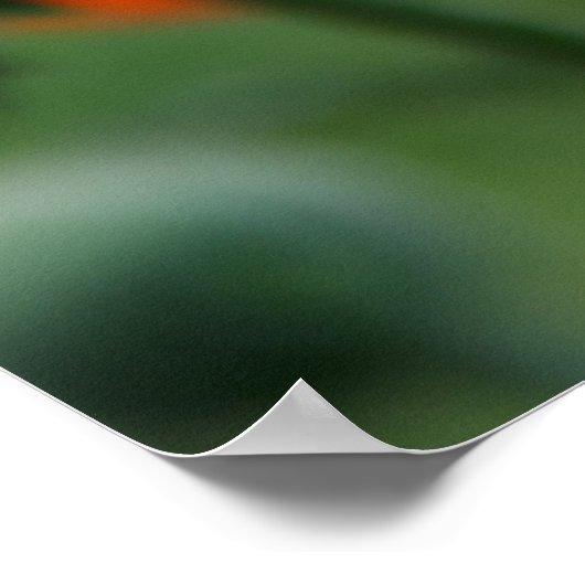 Poster Red Poppy (Coin)