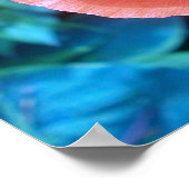 Poster Red Poppy. (Coin)