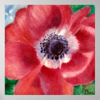 Red Poppy