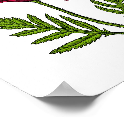 Poster Red poppy drawing 3 (Coin)