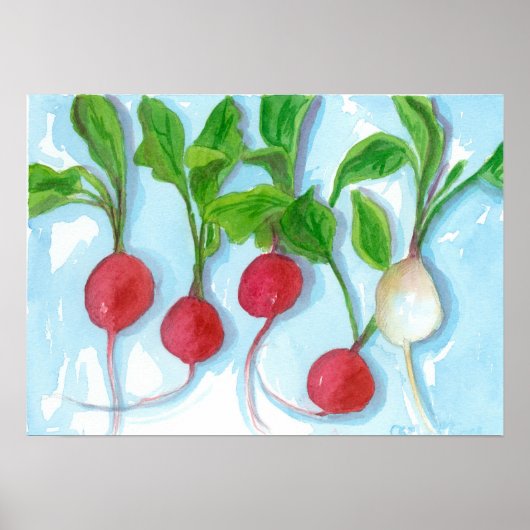Poster Red Radis Garden Vegetable Aquarelle Art (Devant)