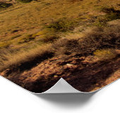 Poster Red Rock Canyon Las Vegas Nevada (Coin)