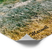 Poster Red Rock Canyon Paysage Photo Art (Coin)