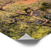 Poster Red Rock | Sedona Arizona (Coin)