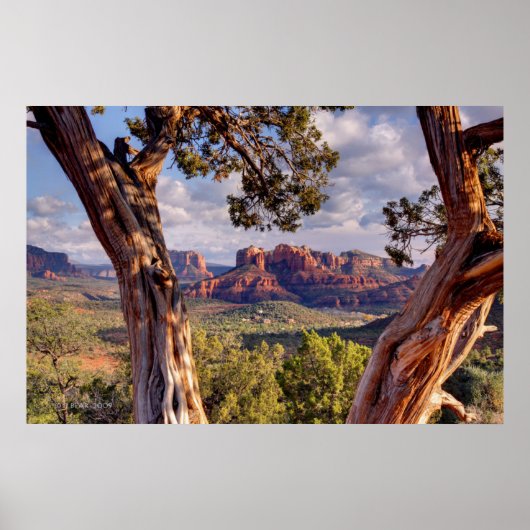 Poster Red Rock | Sedona Arizona (Devant)